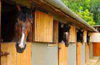 free Roehampton stable construction quotes